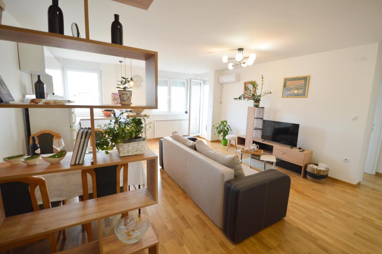 Shine24 - Spacious And Bright Apartment - New 诺威萨 外观 照片
