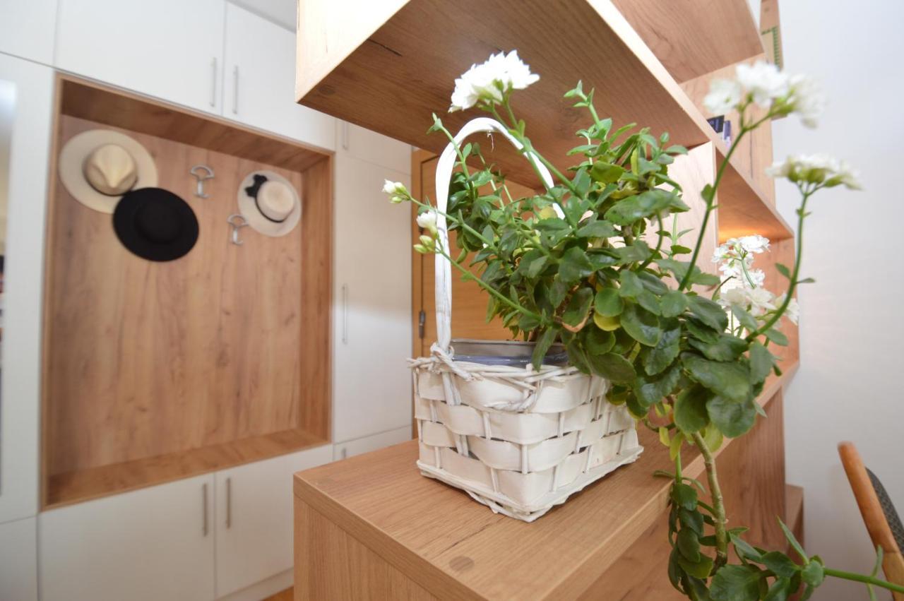 Shine24 - Spacious And Bright Apartment - New 诺威萨 外观 照片