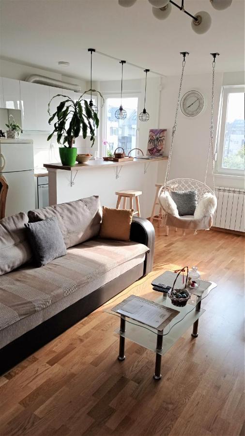 Shine24 - Spacious And Bright Apartment - New 诺威萨 外观 照片